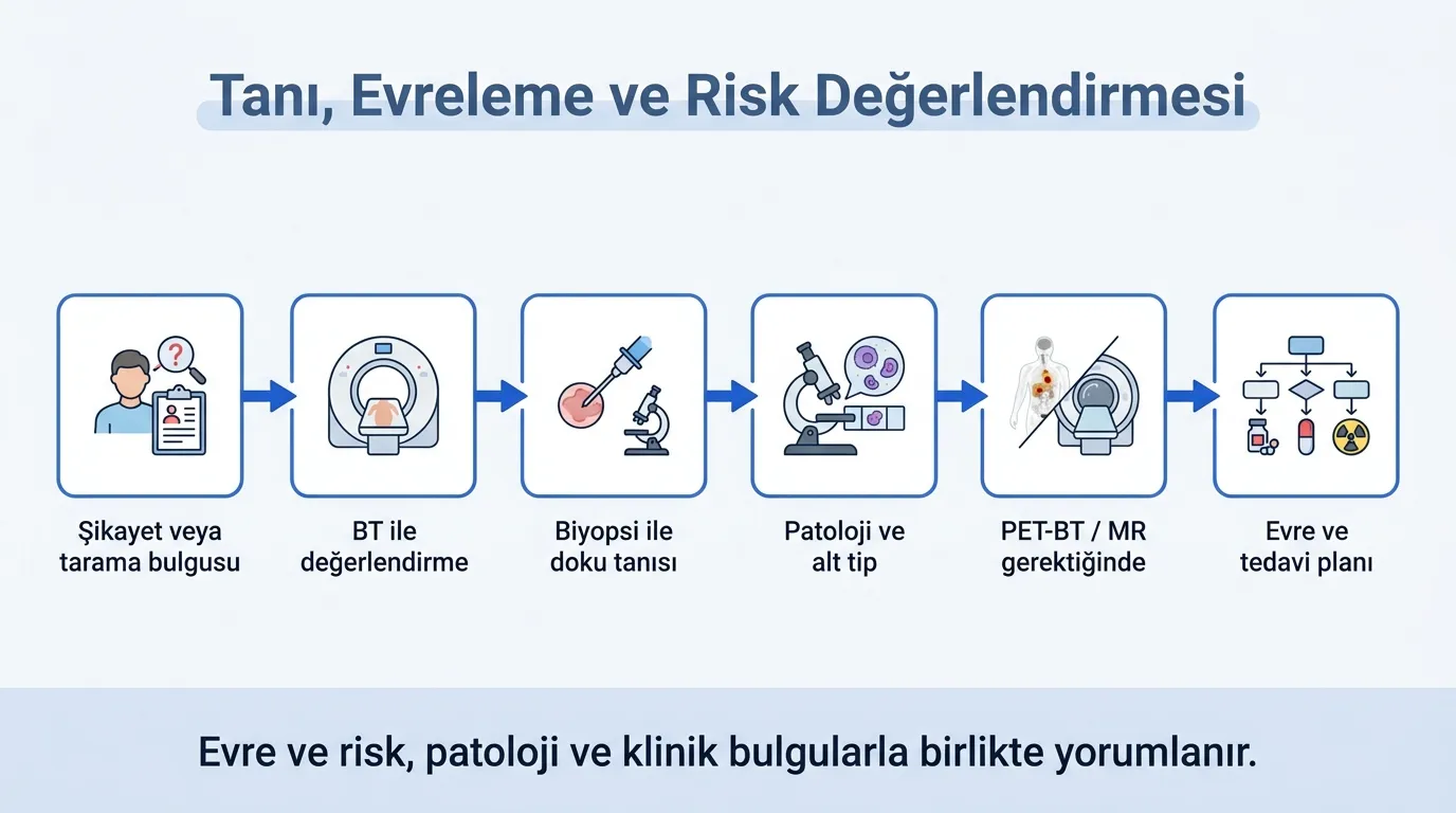 Akciğer kanseri evreleme infografik
