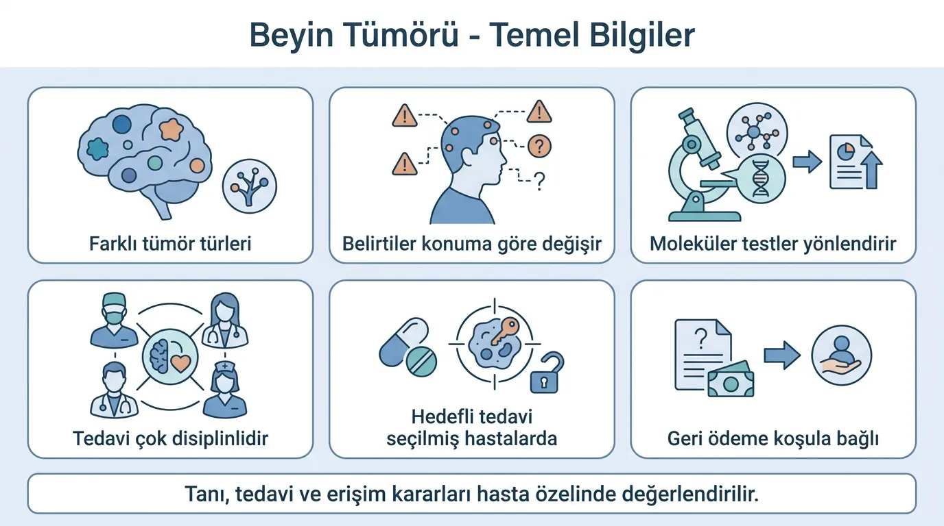 Beyin kanseri temel bilgiler ikon seti
