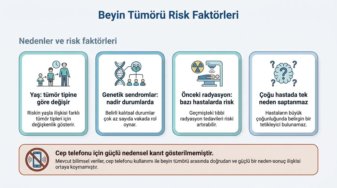 Beyin kanseri risk faktörleri infografik