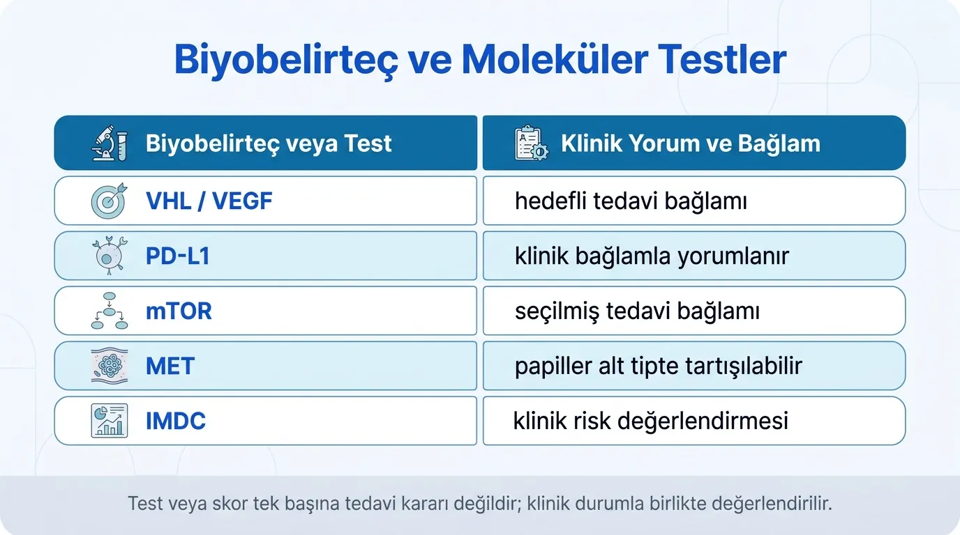 Böbrek kanseri moleküler özellikler tablosu