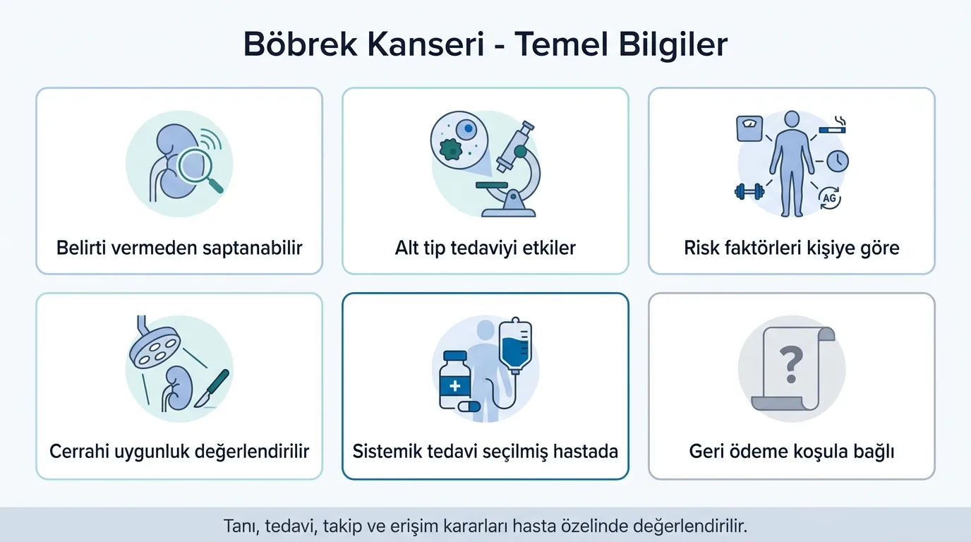 Böbrek kanseri temel bilgiler ikon seti