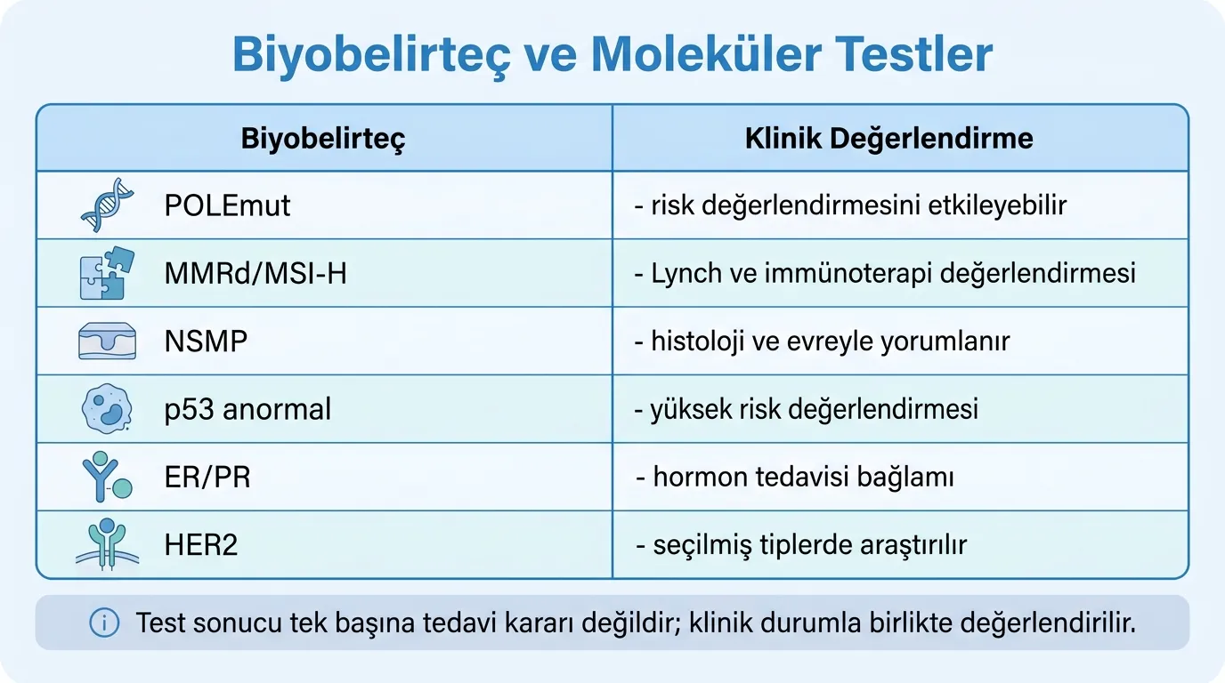 Endometrium kanseri moleküler alt tipler tablosu