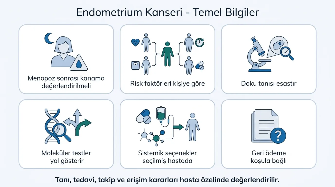 Endometrium kanseri temel bilgiler ikon seti