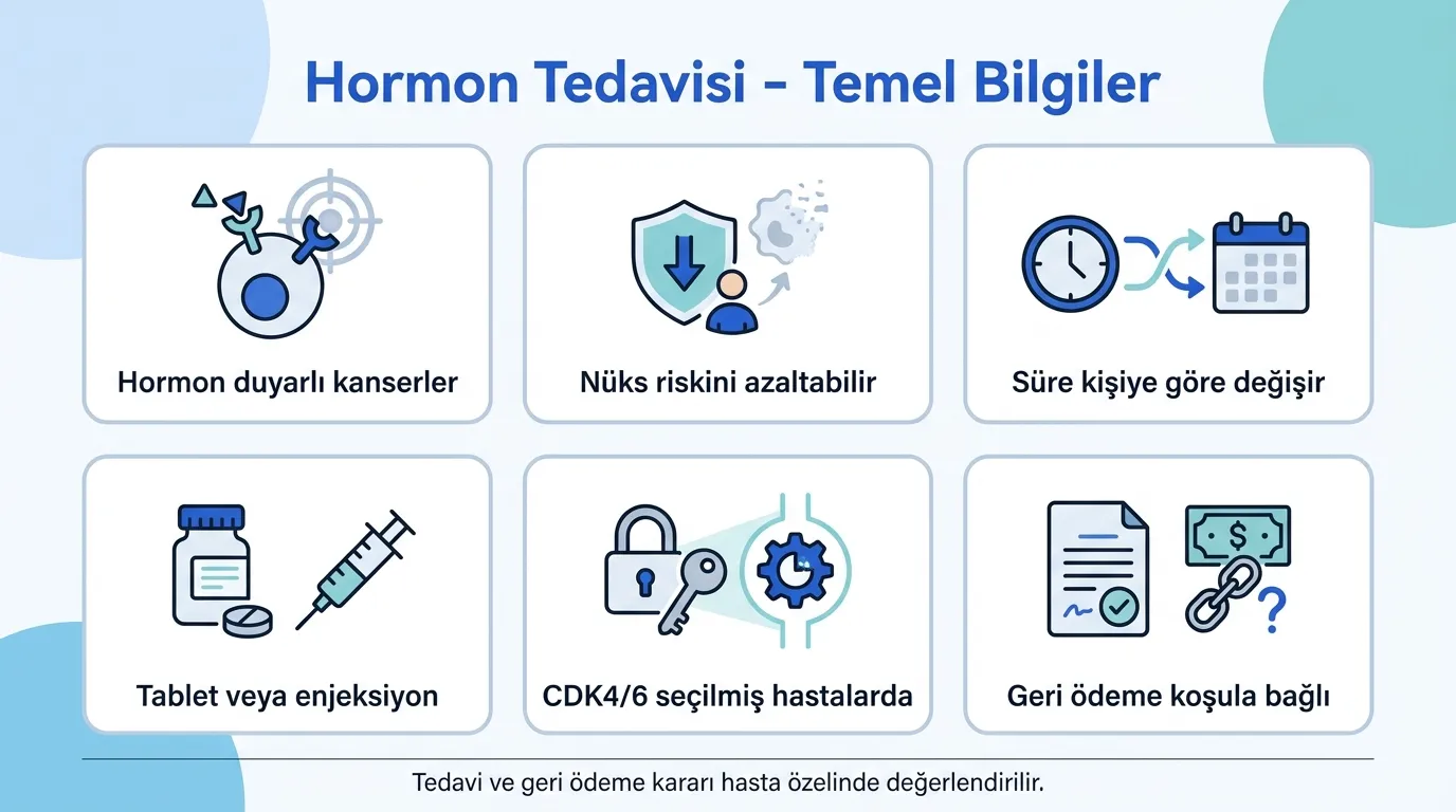 Hormon tedavisi temel bilgiler ikon seti