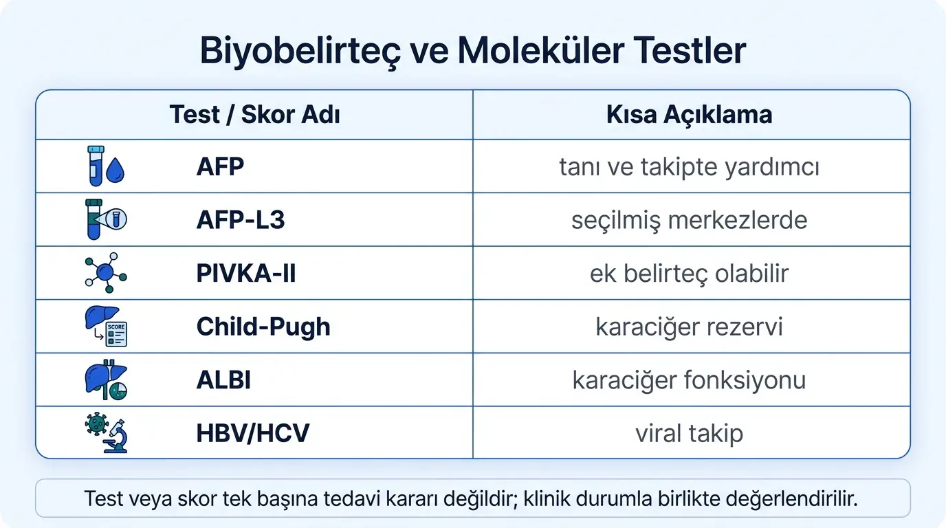 Karaciğer kanseri biyobelirteçler tablosu
