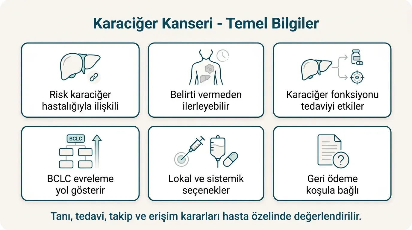 Karaciğer kanseri temel bilgiler ikon seti
