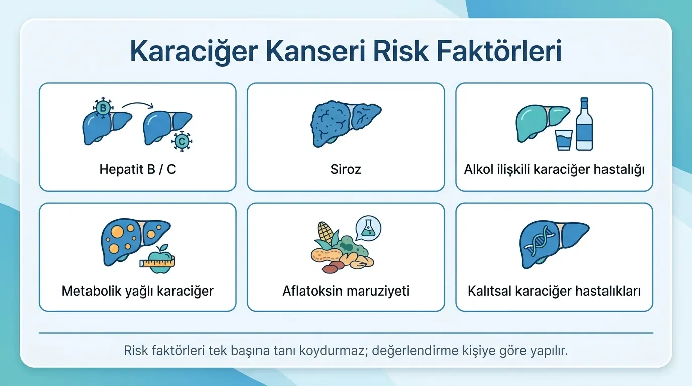 Karaciğer kanseri risk faktörleri infografik