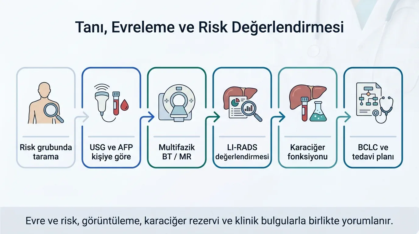 Karaciğer kanseri BCLC evreleme infografik