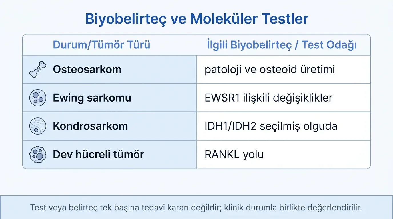 Kemik kanseri biyobelirteç karşılaştırma tablosu