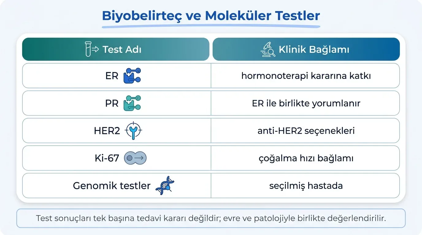 Meme kanseri biyobelirteç karşılaştırma tablosu