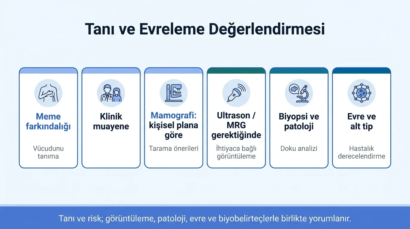 Meme kanseri tanı süreci akış diyagramı