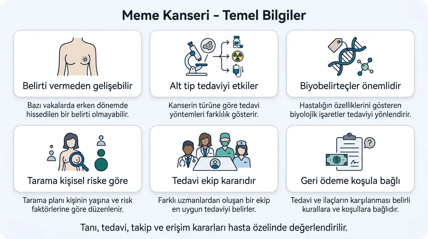 Meme kanseri temel bilgiler ikon seti