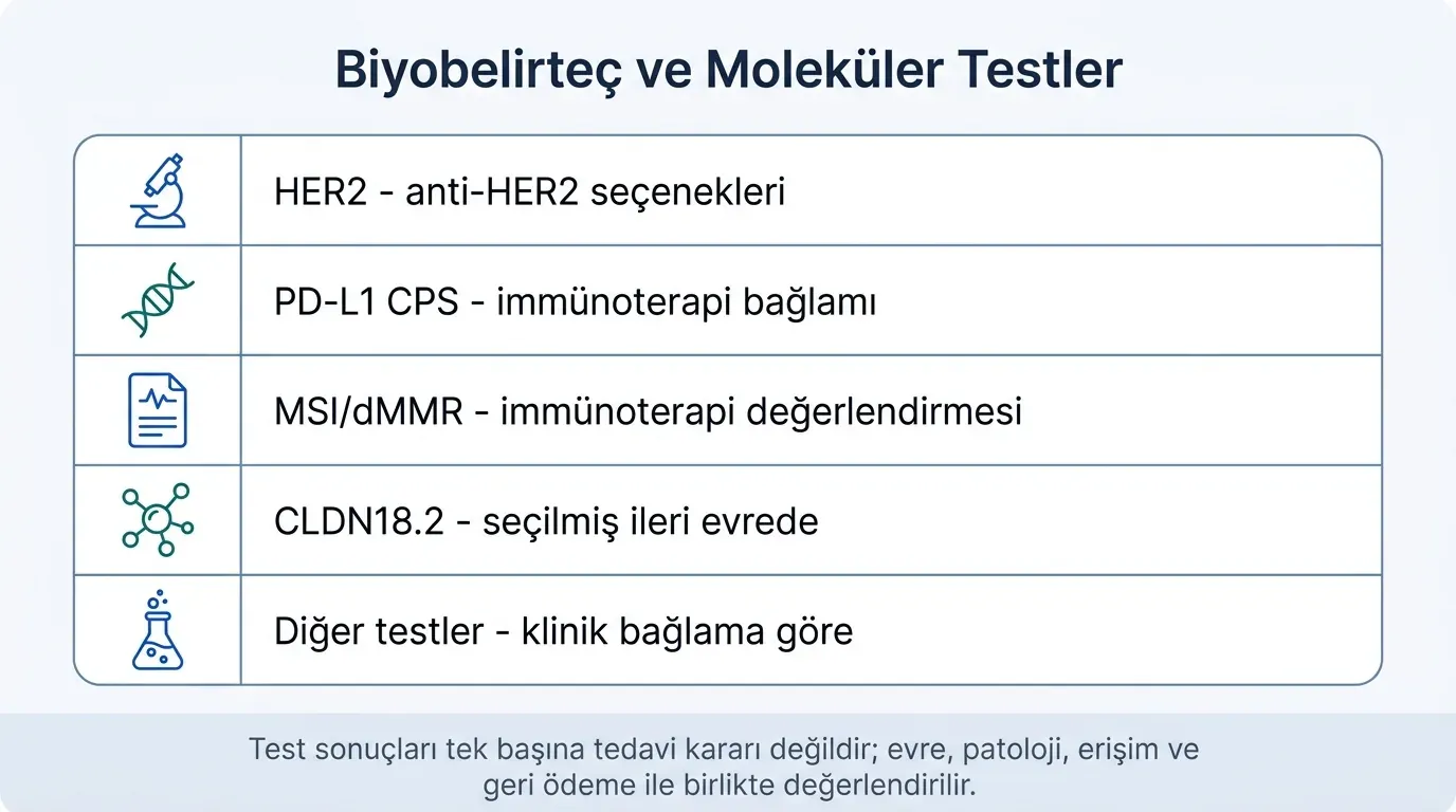 Mide kanseri biyobelirteçler tablosu