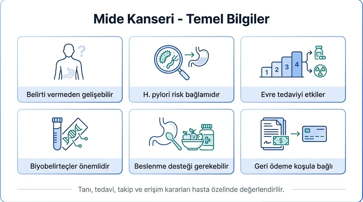Mide kanseri temel bilgiler ikon seti