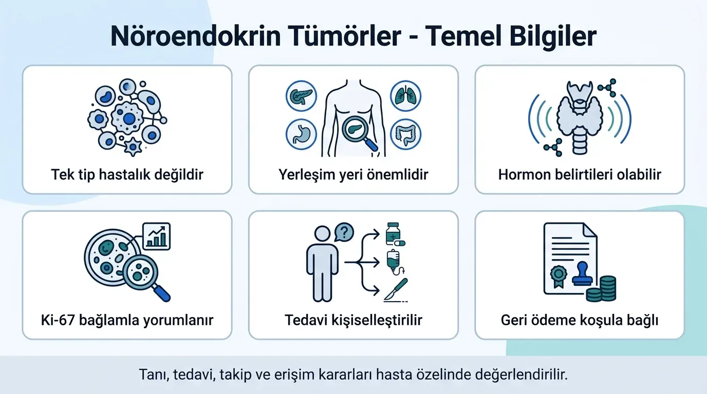 Nöroendokrin tümör temel bilgiler ikon seti