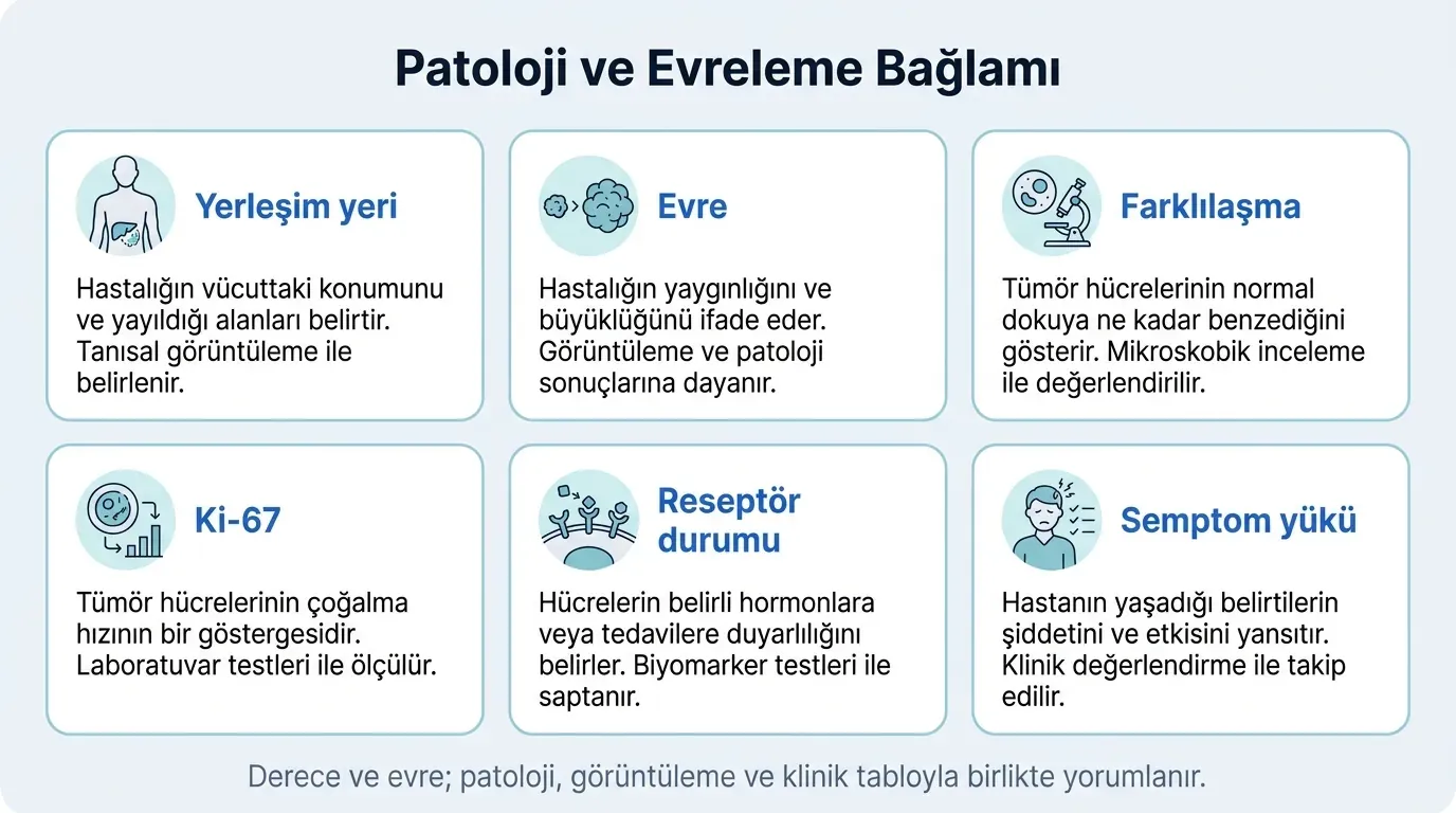 Nöroendokrin tümör WHO derecelendirme infografik