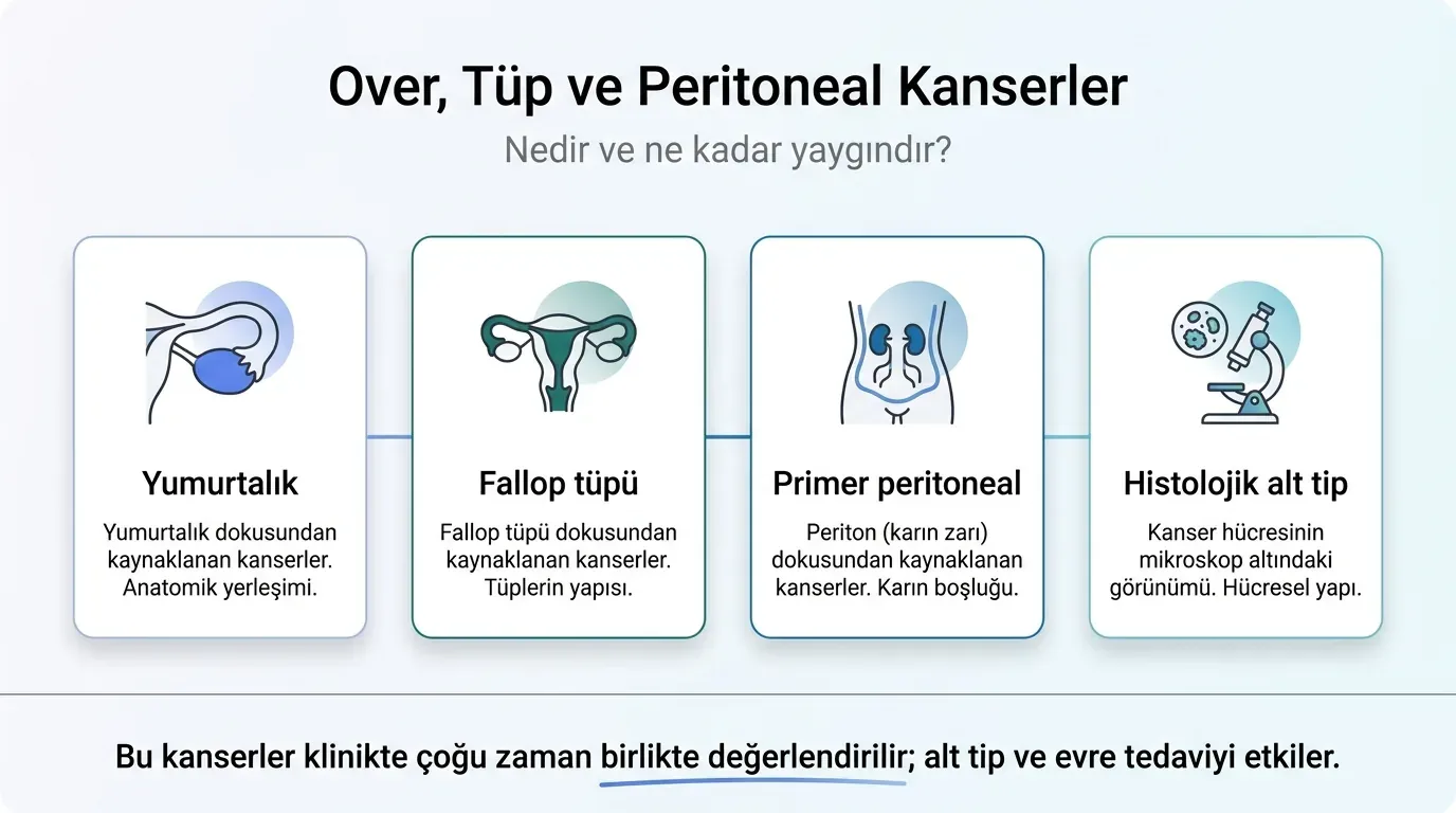 Over kanseri epidemiyoloji infografik