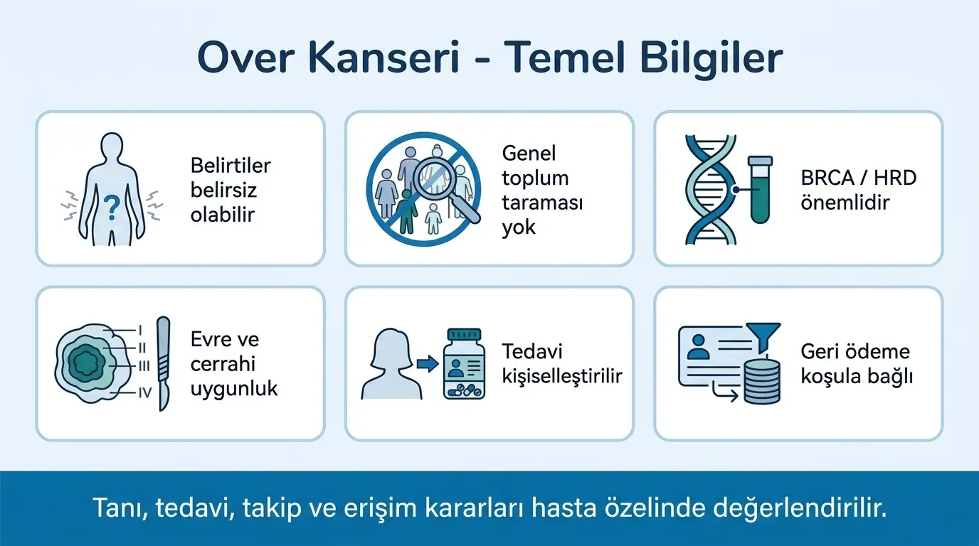 Over kanseri temel bilgiler ikon seti
