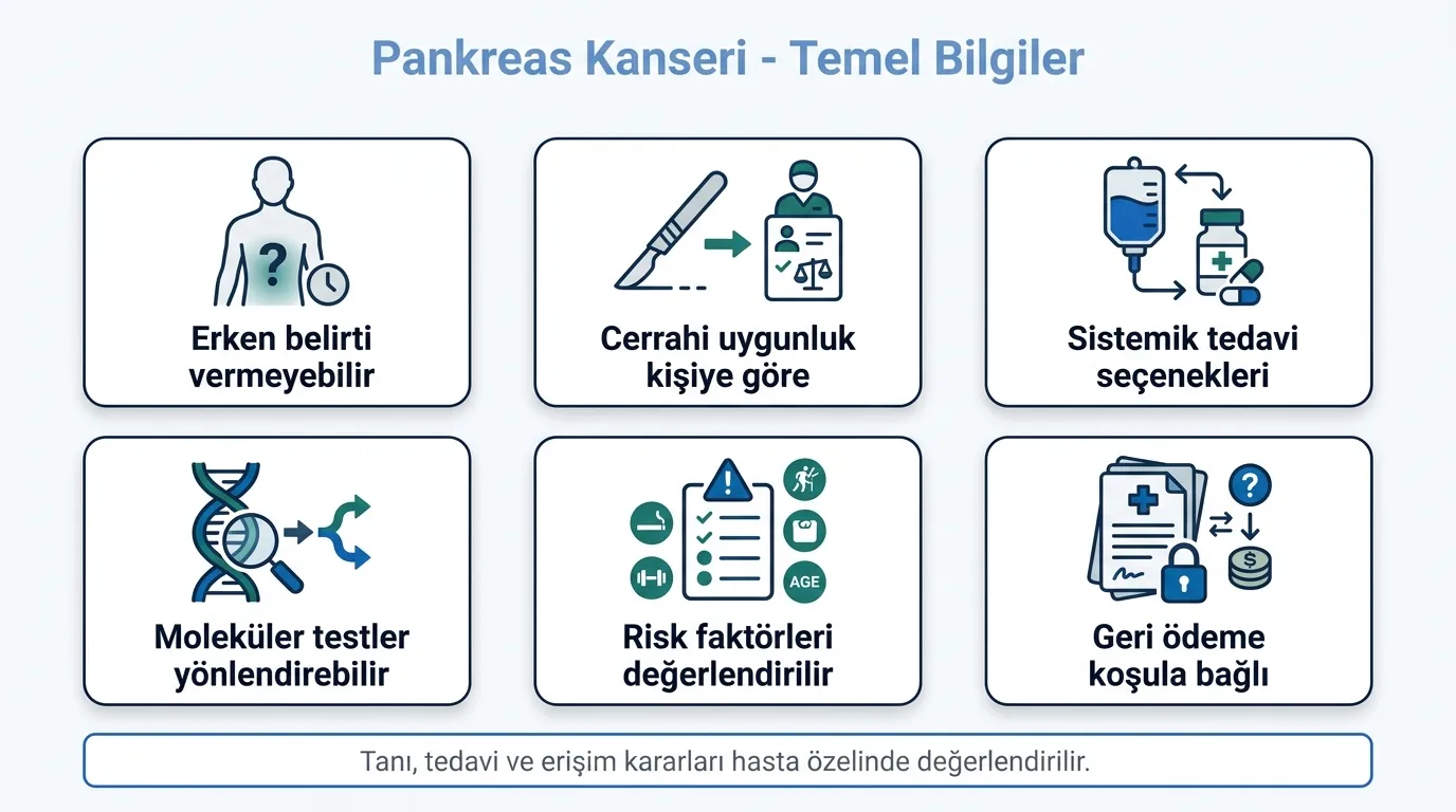 Pankreas kanseri temel bilgiler ikon seti