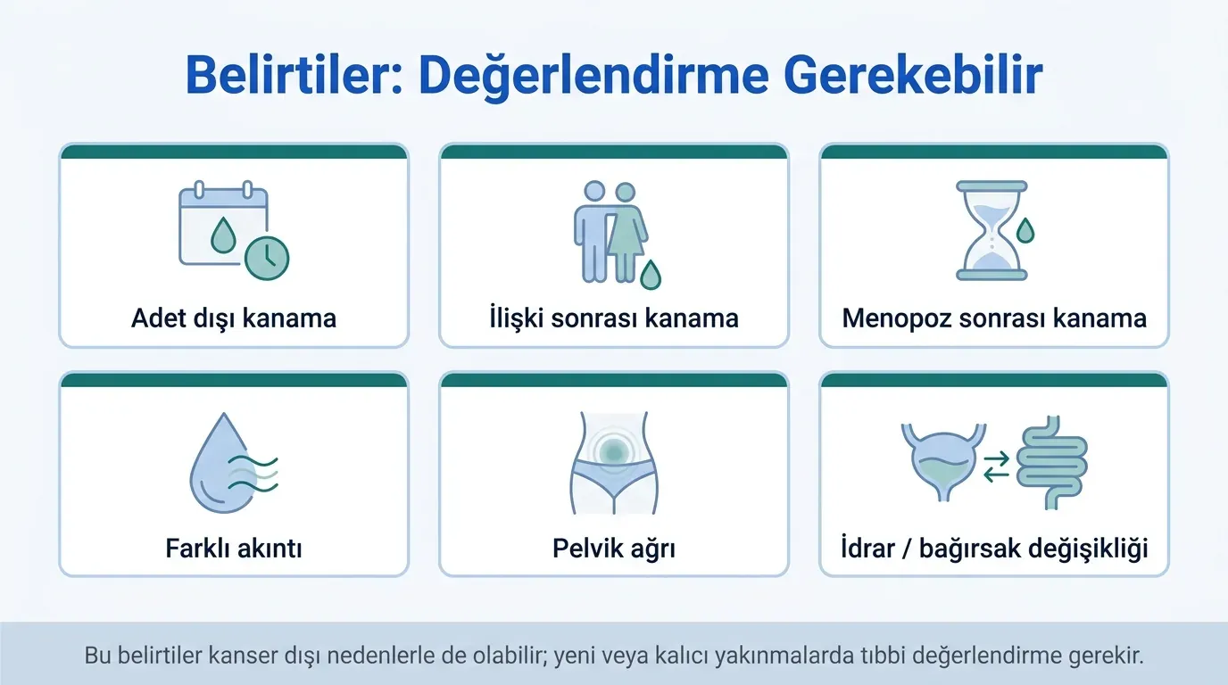 Serviks kanseri belirtileri infografik