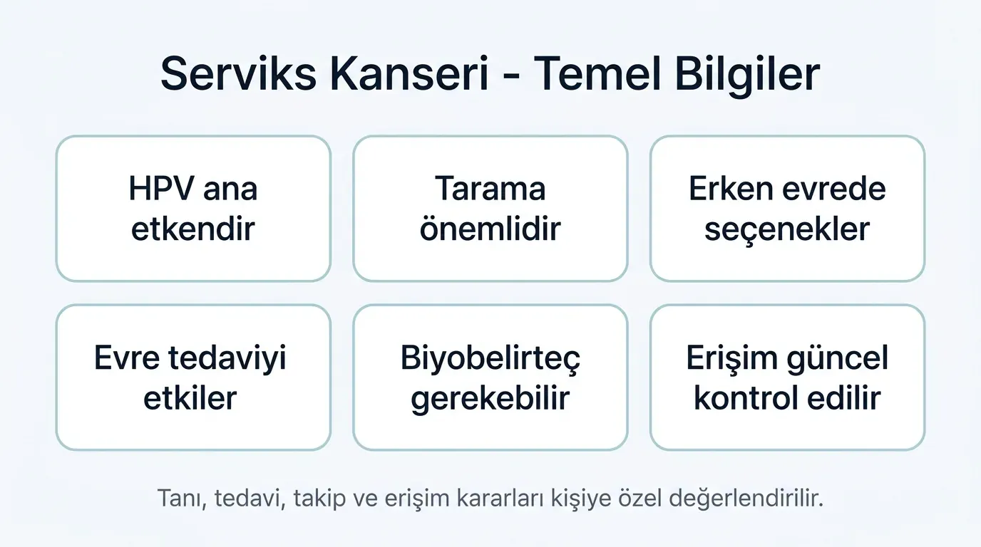 Serviks kanseri temel bilgiler ikon seti